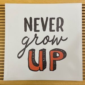 NEW Printed Canvas Never Grow Up Wall Art  Home Office Dorm Room Decor